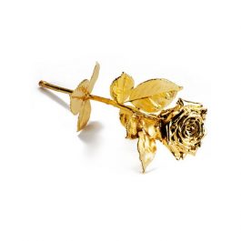Gold Rose Premium 22cm A