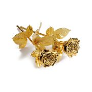 Gold Rose Premium 22cm B