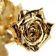 Gold Rose Premium 22cm C