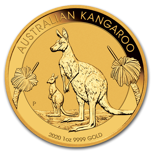 2020 Australian Kangaroo Gold Coin 1oz Front
